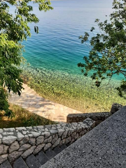 Apartment Lisarica ستاريغغاد باكلينتسا المظهر الخارجي الصورة